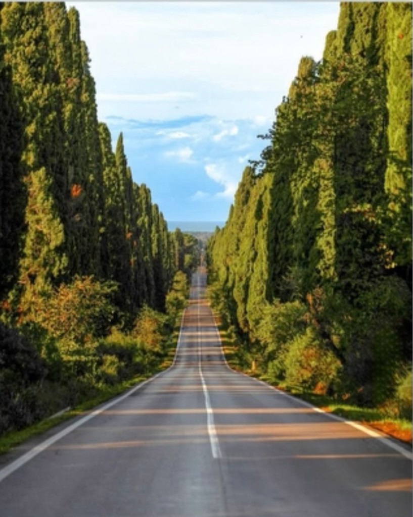 Bolgheri, viale dei cipressi